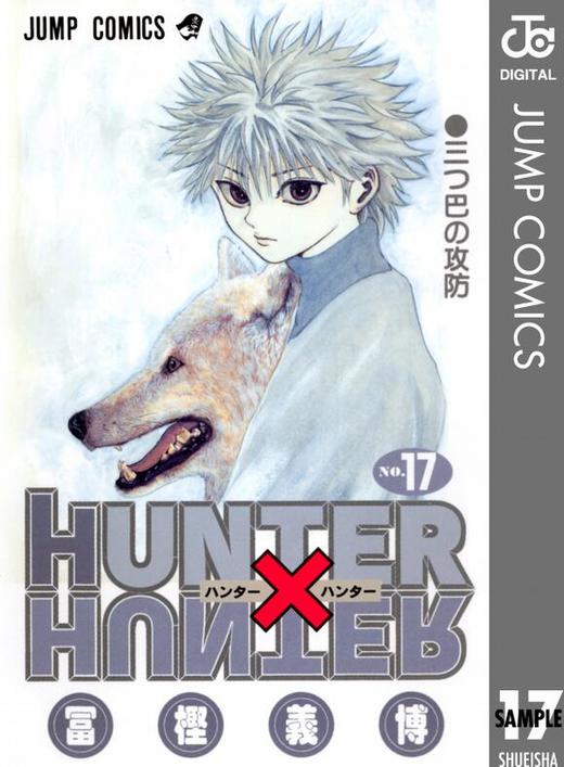 全职猎人17 日文原版 HUNTER X HUNTER 17 冨樫義博 集英社 商品图0