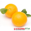 【鲜香多汁】澳洲进口甜橙 4个  单个180g左右 商品缩略图1