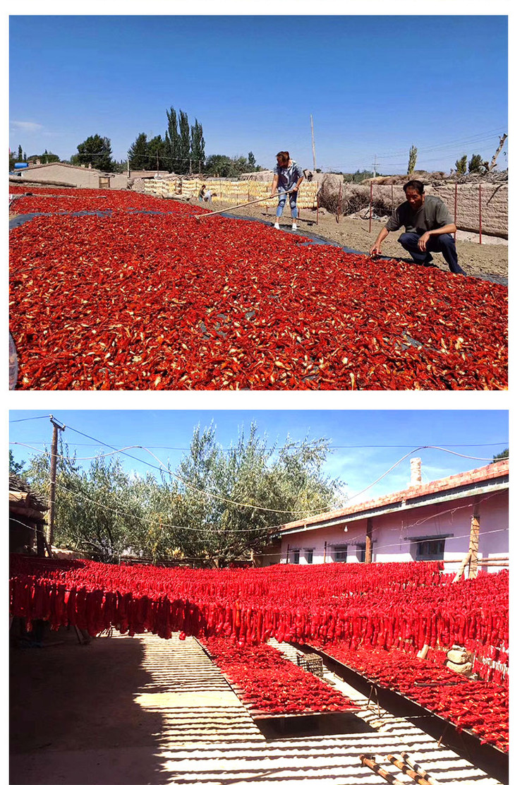 新疆哈密巴里坤三塘湖辣皮子250g*2袋 微辣丝丝带甜【三塘湖原产地