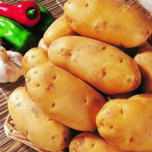 【土豆】甘肃土豆 新鲜 基地现挖 蒸煮3斤 商品图1