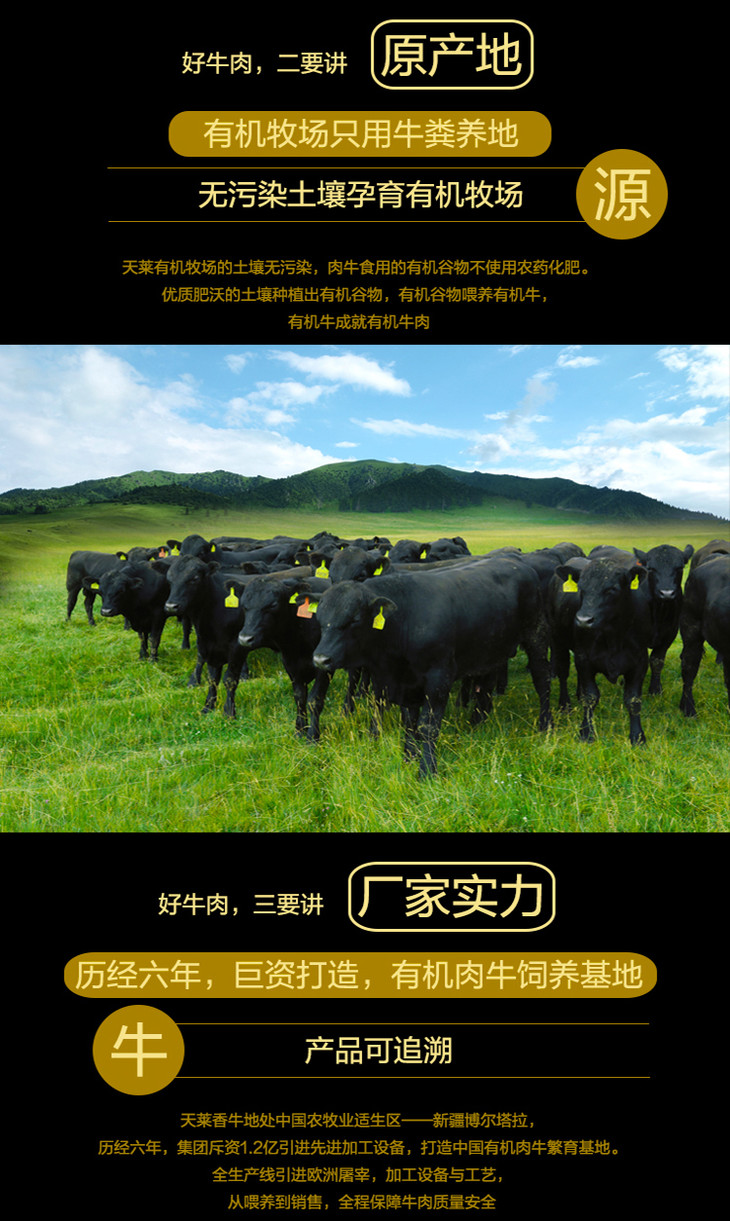 天莱香牛安格斯有机牛肉礼盒2kgza