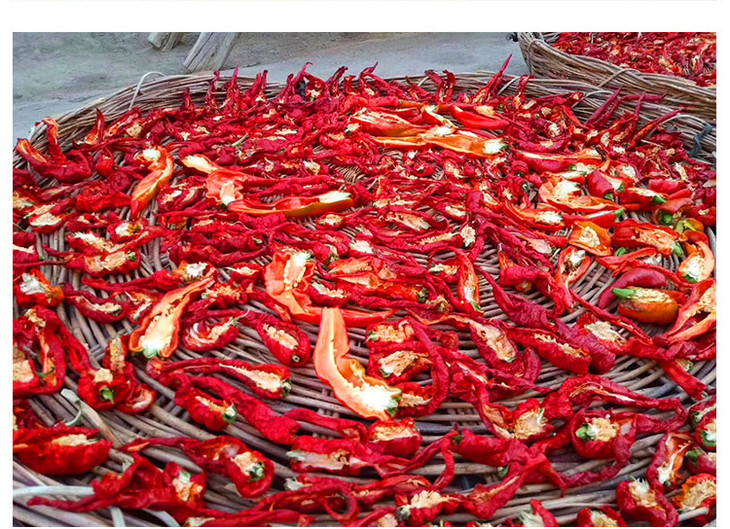 新疆哈密巴里坤三塘湖辣皮子250g*2袋 微辣丝丝带甜【三塘湖原产地