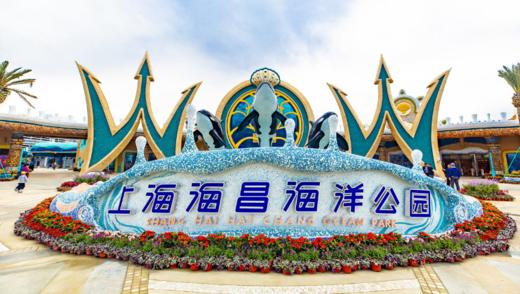 上海海昌海洋公園 席捲你的想象 試運營門票