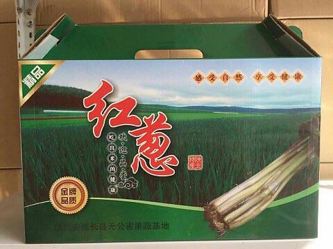 延长安河红葱 商品图0