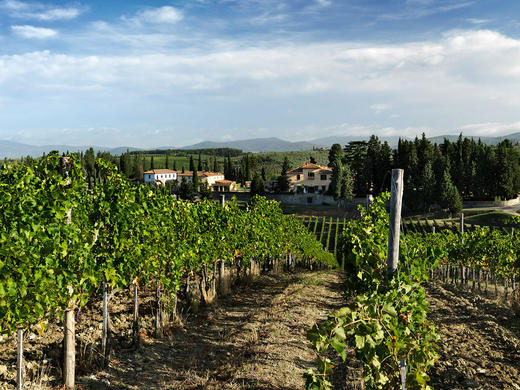 鲁芬诺托斯卡纳基昂蒂优质法定产区干红葡萄酒2020Ruffino Chianti DOCG 商品图3