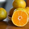 合作生产 | 有机蜜桔 *Coproduction | Organic honey orange 商品缩略图0