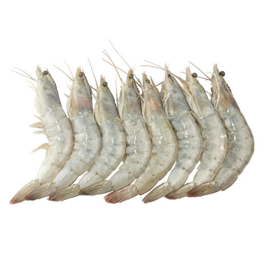 厄瓜多尔白虾新鲜海捕冰鲜活冷冻虾顺丰包邮 商品图1