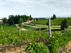鲁芬诺托斯卡纳基昂蒂优质法定产区干红葡萄酒2020Ruffino Chianti DOCG 商品缩略图2