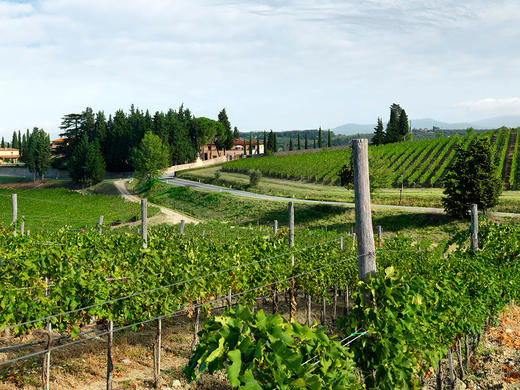 鲁芬诺托斯卡纳基昂蒂优质法定产区干红葡萄酒2020Ruffino Chianti DOCG 商品图2