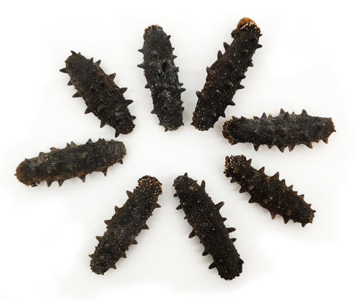 【润寿堂】大连一级淡干海参 商品图2