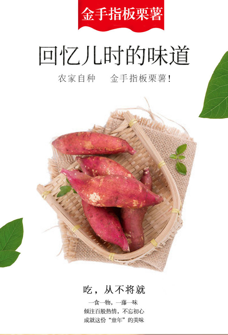 优选精品板栗红薯