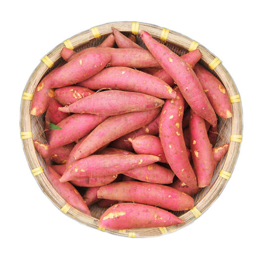 优选精品板栗红薯