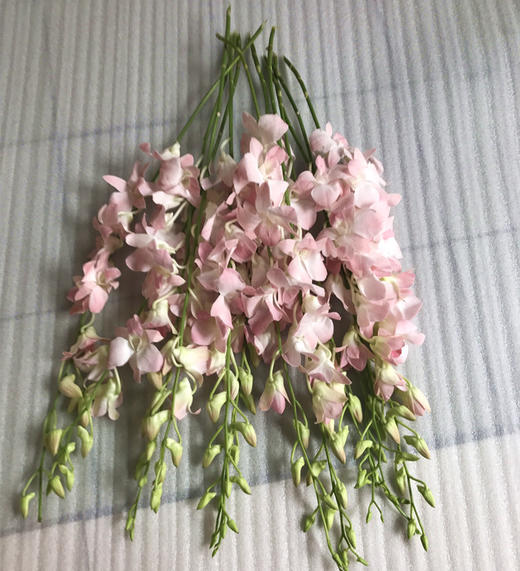 精品花材浅粉色洋兰10支 商品图2
