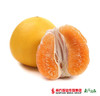 【入口鲜爽】福建平和黄金柚 1个 约2.5斤/个 商品缩略图1