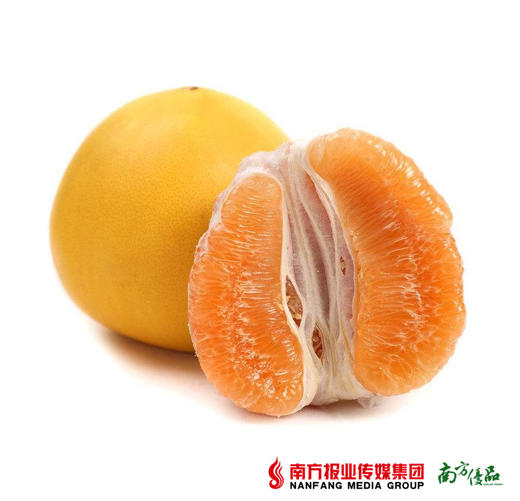 【入口鲜爽】福建平和黄金柚 1个 约2.5斤/个 商品图1