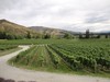 新西兰飞腾黑皮诺 Felton Road Bannockburn Pinot Noir, Central Otago, New Zealand 商品缩略图3