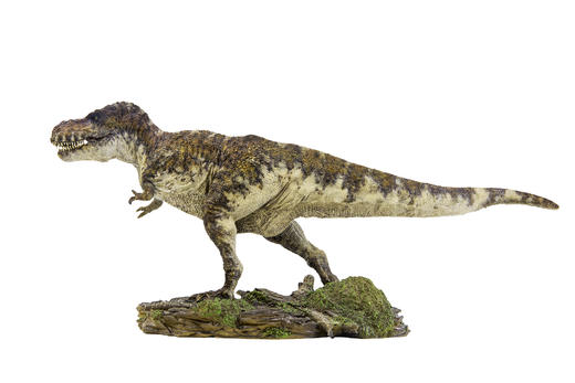 pnso赵闯和杨杨的恐龙物语创造霸王龙威尔逊1:35