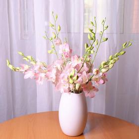 精品花材浅粉色洋兰10支