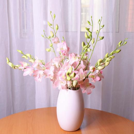 精品花材浅粉色洋兰10支 商品图0