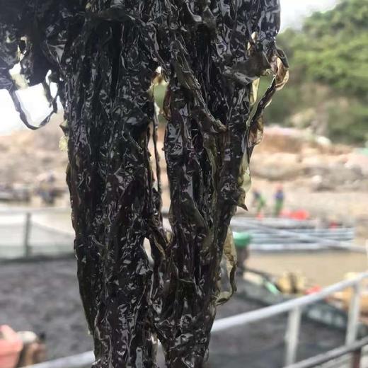 现货超妈优选头茬紫菜鲜嫩可口免洗色香味美爽口滑润方便速食300g为大