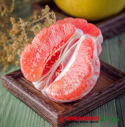 【酸甜爽口】福建平和红柚  单果2.5斤±3两  1个 商品图2