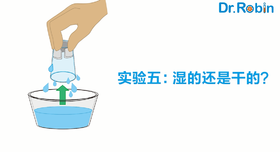 【Water水实验第5集】湿的还是干的？