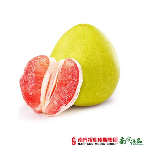 【酸甜爽口】福建平和红柚  单果2.5斤±3两  1个 商品图1