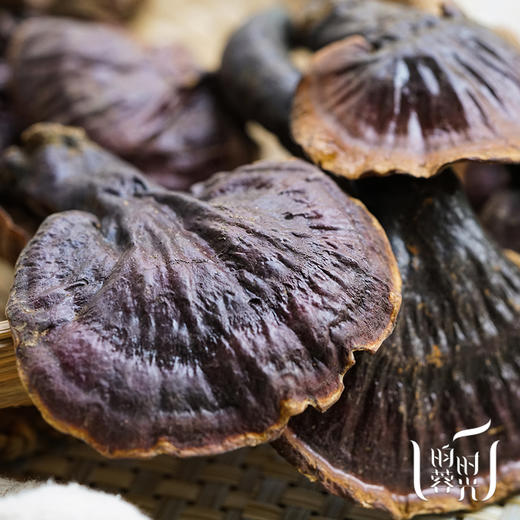 西藏林芝波密县野生赤灵芝(收货后需放冰箱冷藏储存)