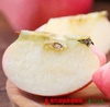 【口感脆甜】洛川苹果70-75mm  单果约155-185g  4个 商品缩略图3