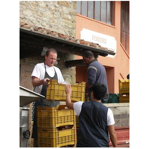 2012 斯卡莱特酒庄潘彤亚美乐干红葡萄酒 商品图4