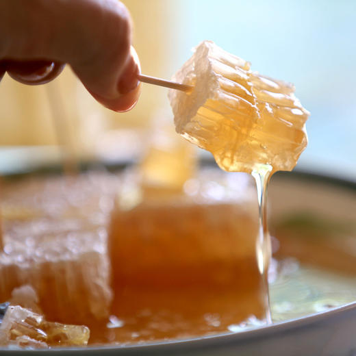 可以啃的新疆巢蜜原筑葵花巢蜜400g