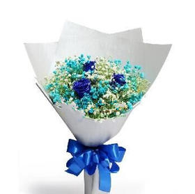 满天星花束（1262）