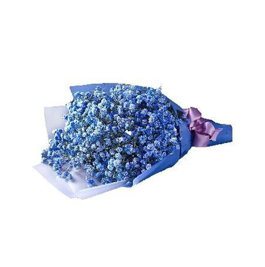 快乐每一刻蓝色满天星一把白色磨砂玻璃纸加蓝色雾面纸单面包装紫色