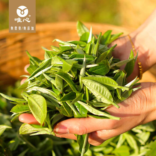 唯心盛世红颜 英红九号 英德红茶 无公害无农残无化肥  一芽二叶 罐装125g 商品图7