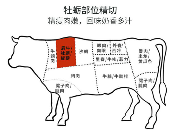进口牛肉分割图图片