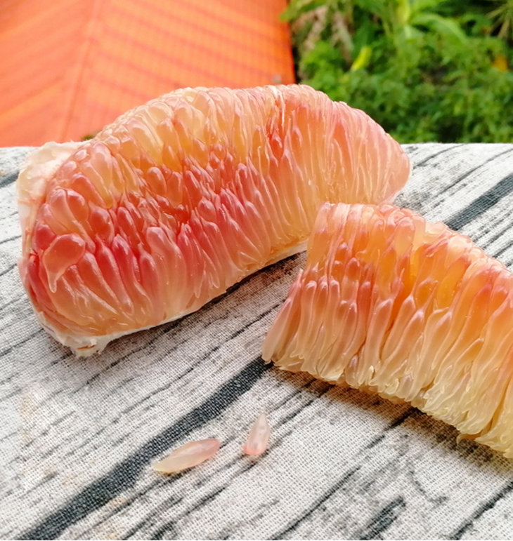 【同城/城际】越南进口红心柚子 柚子中的爱马仕