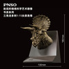 PNSO霸王龙三角龙头部肖像赵闯和杨杨科学艺术雕像书房系列 商品缩略图2