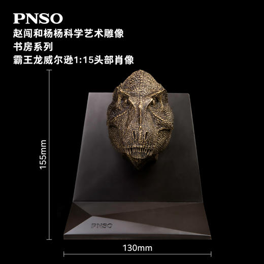 PNSO霸王龙三角龙头部肖像赵闯和杨杨科学艺术雕像书房系列 商品图1