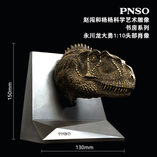 PNSO霸王龙三角龙头部肖像赵闯和杨杨科学艺术雕像书房系列 商品图10
