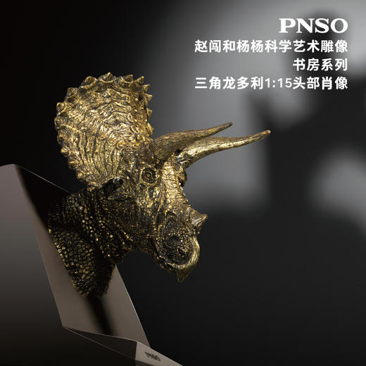 PNSO霸王龙三角龙头部肖像赵闯和杨杨科学艺术雕像书房系列 商品图3