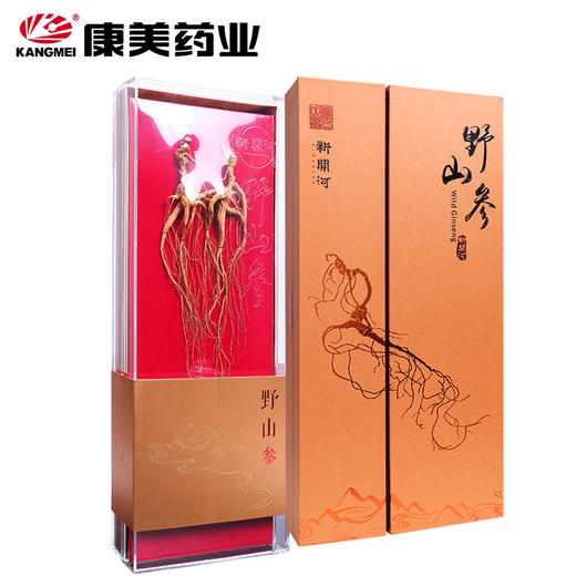 康美野山参  二等双支5g-8g 长白山新开河牌 野外山参  煲汤泡酒 顺丰直邮 高档礼品 商品图2