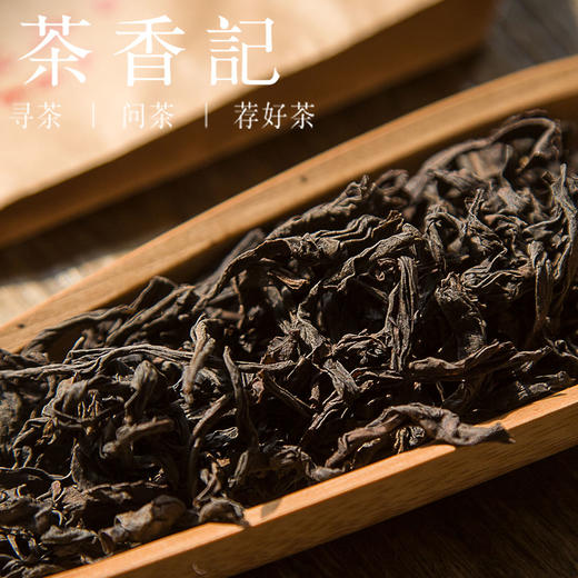 猫屎茶普洱茶图片