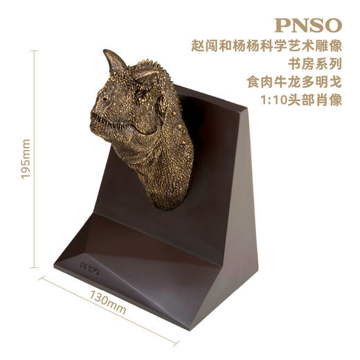 PNSO霸王龙三角龙头部肖像赵闯和杨杨科学艺术雕像书房系列 商品图5