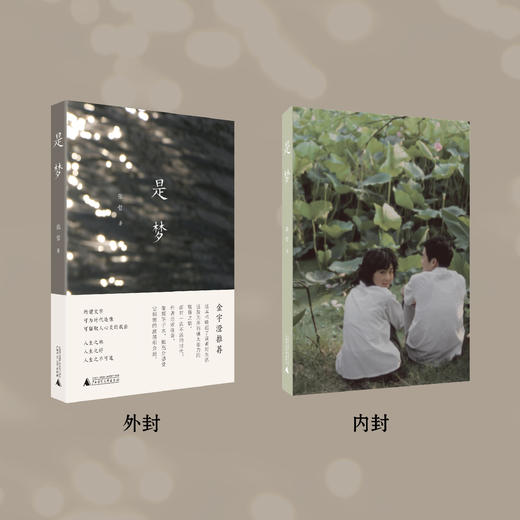 《是梦》| 城市愁绪或者光机，在这个告别的年代中留存生活的光亮 商品图1