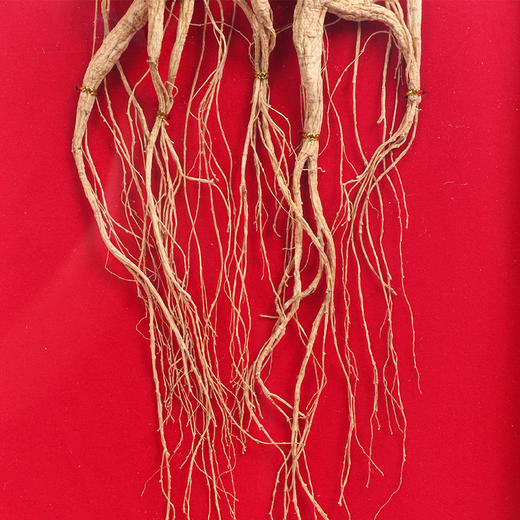 康美野山参  二等双支5g-8g 长白山新开河牌 野外山参  煲汤泡酒 顺丰直邮 高档礼品 商品图3