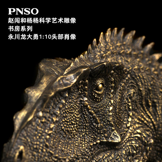PNSO霸王龙三角龙头部肖像赵闯和杨杨科学艺术雕像书房系列 商品图4