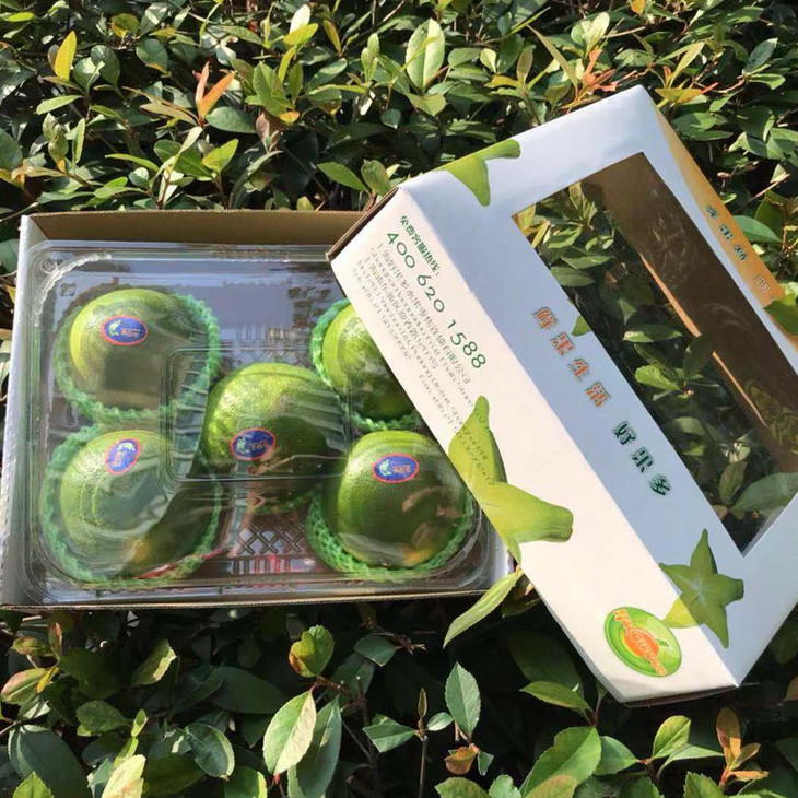 美国【鸡尾清甜·青柚】新鲜绿皮,皮薄肉嫩,柚味浓郁,水分超级足!