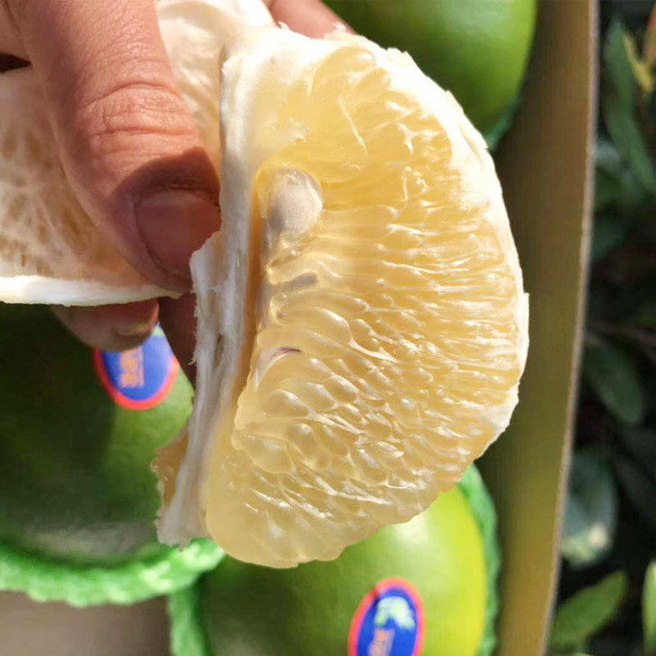 美国【鸡尾清甜·青柚】新鲜绿皮,皮薄肉嫩,柚味浓郁,水分超级足!