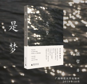 《是梦》| 城市愁绪或者光机，在这个告别的年代中留存生活的光亮