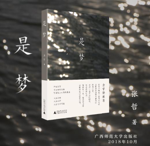 《是梦》| 城市愁绪或者光机，在这个告别的年代中留存生活的光亮 商品图0